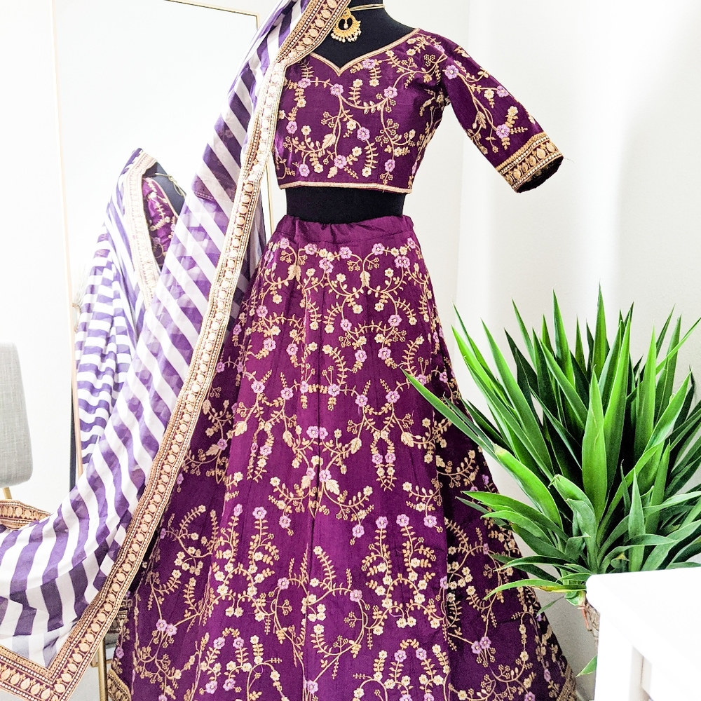 Indian/Pakistani Lehenga with gold threadwork